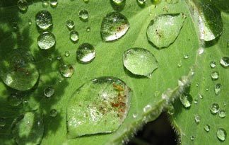 Bild: Badkeramik und Nanoversiegelung